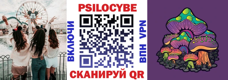 Псилоцибиновые грибы Psilocybine cubensis Вихоревка
